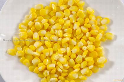 Sweet Corn Kernel Manufacturer Supplier Wholesale Exporter Importer Buyer Trader Retailer in Kalpetta North Kerala India